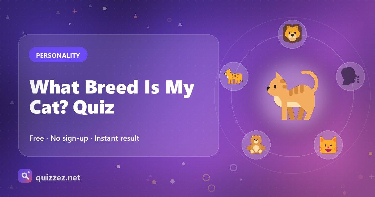 What Breed Is My Cat? Quiz